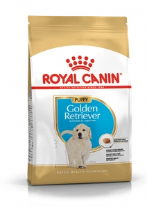 ROYAL CANIN Golden Retriever Junior 12kg + STAIGMENA SUŅIEM