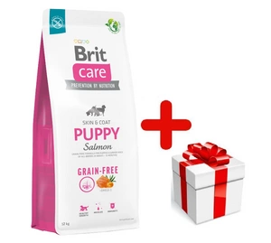 BRIT CARE Dog Puppy Puppy Salmon 12kg + STAGMENA SUŅIEM