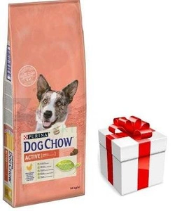 PURINA Dog Chow Adult Active Chicken 14kg