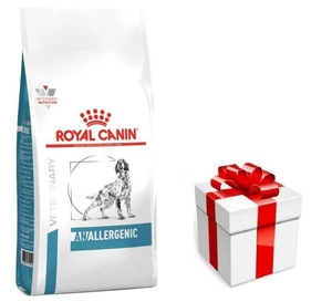 ROYAL CANIN Anallergenic AN18 3kg + STAIGMENA SUŅIEM