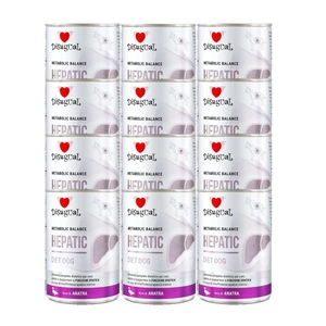 Disugual Veterinārais mitrais barība suņiem HEPATIC Duck (pieaugušajiem) 400g