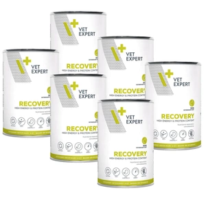 VETEXPERT Veterinary Diet Recovery 6x400g