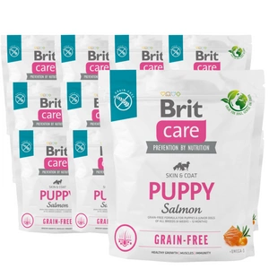 BRIT CARE Dog Puppy Puppy Salmon 1kg