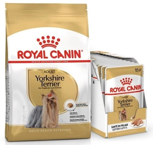 ROYAL CANIN Jorkšīras terjers pieaugušajiem 1,5kg + Jorkšīras terjers pieaugušajiem 12x85g