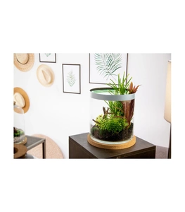 Zolux akvārijs cilindriskais 12 l