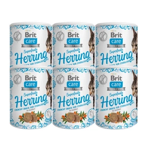 BRIT CARE Cat Snack Superfruits Herring 100g
