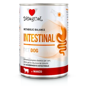 Disugual Veterinārā mitrā barība suņiem INTESTINAL Liellopu gaļa (pieaugušajiem) 400g