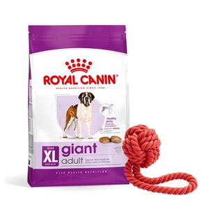 ROYAL CANIN Giant Adult 15kg sausā barība pieaugušiem suņiem, no 18/24 mēnešiem, milzu šķirnēm