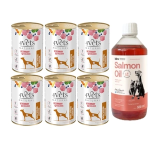 DOLINA NOTECI 4Vets suņiem svara samazināšanai 400g