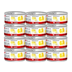 Disugual Veterinārais kaķu barība RENAL Liellopu gaļa (pieaugušajiem) 85g