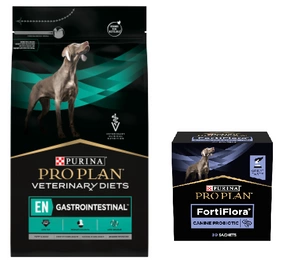 PURINA Veterinary PVD LV Kuņģa un zarnu trakta (suns) 12kg