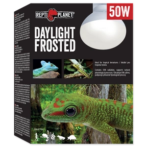REPTI PLANET Daylight Frosted 50W spuldze