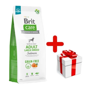 BRIT CARE Dog Grain-free Adult Large Breed Salmon 12kg + DOG STAGE
