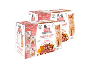 BRIT CARE Cat Fillets in Gravy mix 24x85g