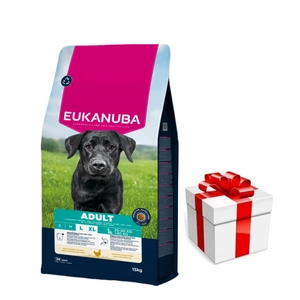 EUKANUBA Adult Large Breed Chicken 15kg