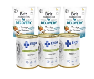 BRIT CARE DOG FUNCTIONAL SNACK RECOVERY HERRING 150g