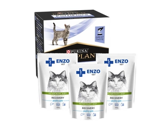 PURINA PVD FortiFlora Cat 30 paciņas + 3x ENZO VET Recovery kaķiem 100g