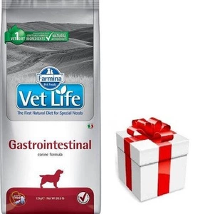 FARMINA Vet Life Dog Gastrointestinal 12kg + STAIGMENA SUŅIEM