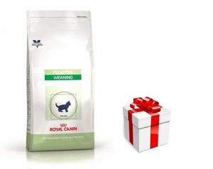 ROYAL CANIN Pediatric Weaning 2kg + STAIGMENA KATEI