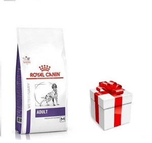 ROYAL CANIN Adult Skin&amp;Digest 4kg + STAIGMENA SUŅIEM