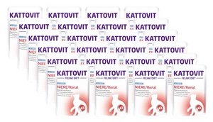 Kattovit Niere/Renal pīle 85g maisiņā