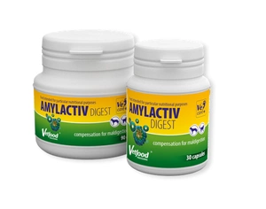 VETFOOD Amylactiv Digest 30 kapsulas.