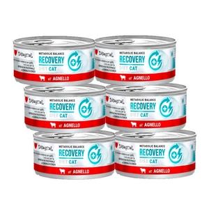 Disugual Veterinary RECOVERY Jēra barība kaķiem (pieaugušajiem) 85g