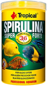 TROPICAL Super Spirulina Forte 250ml