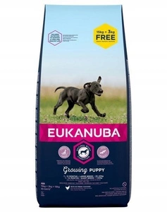 EUKANUBA Junior Large 15kg