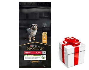PRO PLAN Health Start Puppy barība ar vistas gaļu 12kg + STAIGMENA SUŅIEM
