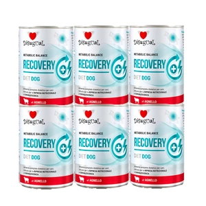 Disugual Veterinary RECOVERY Jēra gaļas barība (pieaugušajiem) 400g