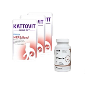 Kattovit Niere/Renal pīle 85g maisiņā
