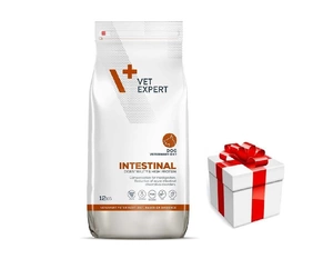 4T Veterinary Diet Dog Intestinal 2kg