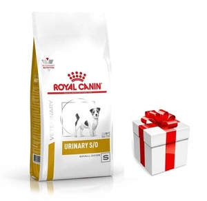 ROYAL CANIN Urinary S/O USD 20 Mazs suns 4kg + DOG STAGE