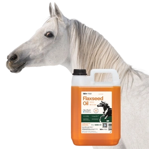 LAB-V Linsēklu eļļa Leinöl zirgiem, suņiem un kaķiem 5000ml