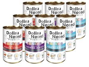 Dolina Noteci PREMIUM Junior MIX Flavours 24x400g