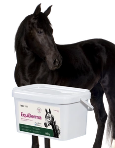 Lab-v EquiDerma - Papildbarība zirgiem un ponijiem ādas, kažoka un nagu stāvokļa uzlabošanai 2kg