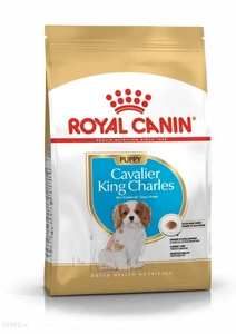 ROYAL CANIN Cavalier King Charles Spaniel Puppy 1,5kg sausā barība kucēniem līdz 10 mēnešu vecumam, Cavalier king charles spaniel šķirne