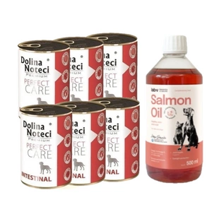 Dolina noteci Premium Perfect Care Intestinal 12x400g