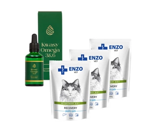 ENZO VET Recovery kaķiem 3x100g + LAB-V Omega 3 un 6 taukskābes suņu un kaķu vispārējās veselības, kažoka un ādas stāvokļa uzlabošanai 100ml