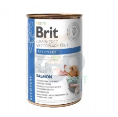 BRIT GF Veterinary Diets Recovery Salmon 400g - mitrā barība suņiem un kaķiem