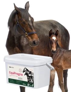 Lab-v EquiPregna - papildbarība grūsnām un laktējošām ķēvēm grūtniecības, augļa attīstības un piena ražošanas atbalstam 2kg