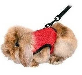 TRIXIE siksna ar pavadiņu trušiem