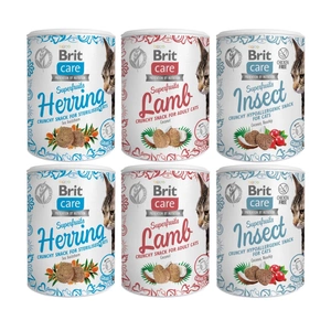 BRIT CARE Cat Snack Superfruits Lamb100g
