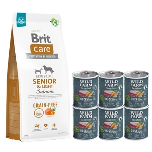BRIT CARE Dog Grain-free Senior & Light Salmon 12kg