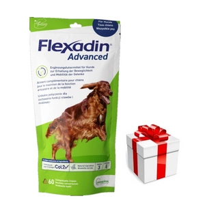 VETOQUINOL Flexadin Advanced 60 kodumu