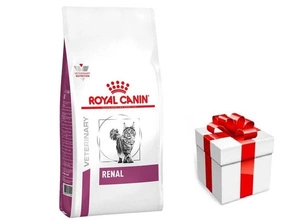 ROYAL CANIN Renal Feline RF 23 4kg + STAIGMENA KATEI