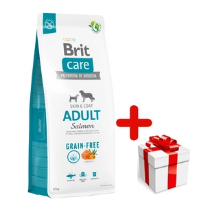 BRIT CARE Grain-free Adult Salmon 12kg + STAGMENTS SUŅAM
