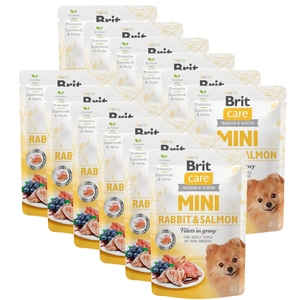 Brit Care Mini truša un laša fileja mērcē 85g