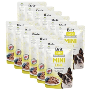 Brit Care Mini jēra fileja mērcē 85g